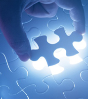 We Provide Professional IT Consulting